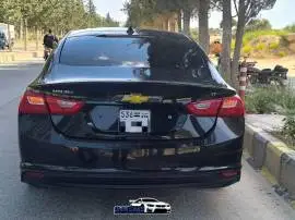 شفر ماليبو 2017, RF17731862
