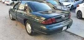 شفر لومينا 1995/1996, طرطوس, RF15235412