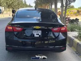 شفر ماليبو 2017, RF26381287