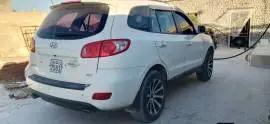 سي أم 2009, RF99586650