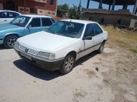 Peugeot 405 Model 1993, RF10012623