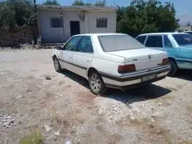 Peugeot 405 Model 1993, RF10012623