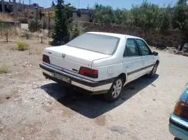 Peugeot 405 Model 1993, RF10012623