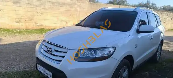 Hyundai Santa Fe 2010 for sale