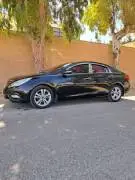 سوناتا 2010 أوروبية