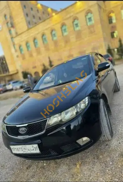 Kia Forte 2010 for sale