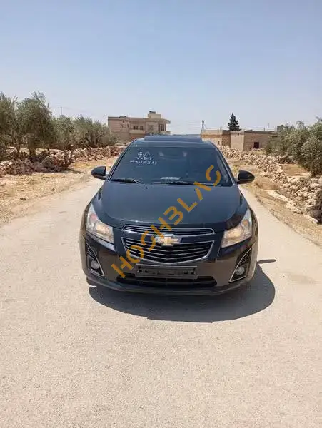 شفر كروز 2013 مازوت