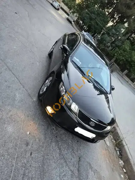 Kia Forte 2010 for sale