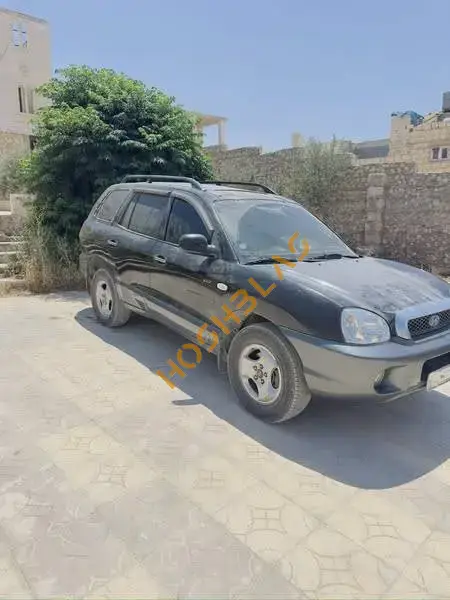 Hyundai Santa Fe 2003 for sale