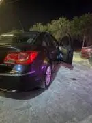 شفر كروز 2016 للبيع