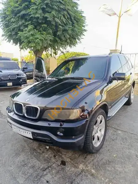BMW X5 2010