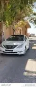 سوناتا 2011