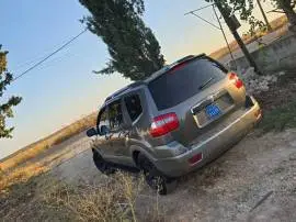 موهافي 2010, حلب, RF20313141