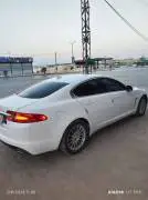 Jaguar 2014, RF17348039