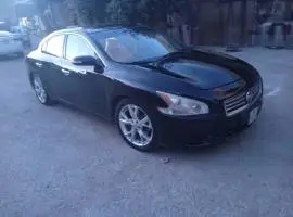 نيسان التيما 2014, دمشق, RF15584290