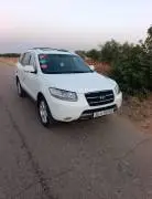 سي ام 2008, حلب, RF75224428