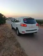 سي ام 2008, حلب, RF75224428