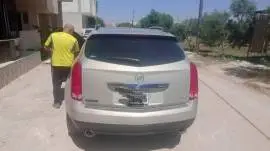 جيب كديلك موديل 2012, حمص, RF78338868