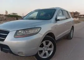 سي ام 2008, حلب, RF23098099