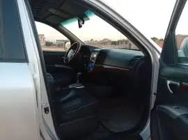 سي ام 2008, حلب, RF23098099