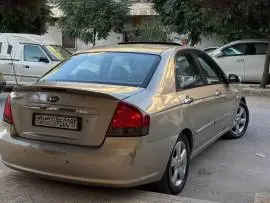 سيراتو 2008, حلب, RF19045717