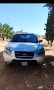 سي ام 2009 فضي, حلب, RF95933254