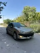 بيجو 206 معدلة rc موديل 2004, RF15186320