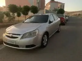 شفرليه توسكا 2008, دمشق, RF18781877