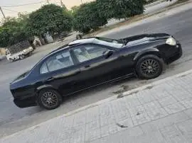 شيري غوصة 2004, حلب, RF92447067
