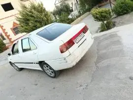 شيري شمعة عريضة 2007, درعا, RF15034486