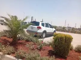 موهافي 2015, إدلب, RF18491495