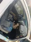 جيلي باندا 2011, دمشق, RF81295467