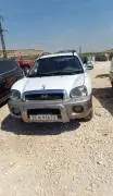 Hyundai Tucson 2005, RF16492262