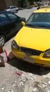 فاو 2005, دمشق, RF10500008