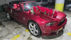 فورد موستينغ 2014, دمشق, RF16016602