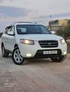 CM 2006, RF17746207