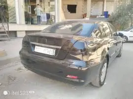 Brilliance 2008, Damascus, RF19873236