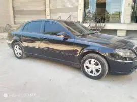 Brilliance 2008, Damascus, RF19873236