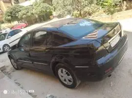 Brilliance 2008, Damascus, RF19873236