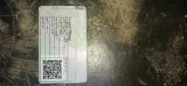Ford Kart 93, RF10752300