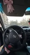 نيسان صني 2009, دمشق, RF11663592