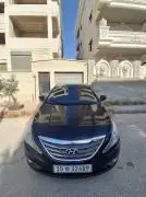 هيونداي سوناتا 2013, حماة, RF11972266
