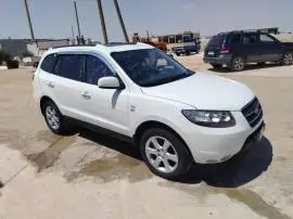 سي ام 2009, حلب, RF37717904
