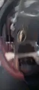 شفر كبتفا 2012, RF10777088