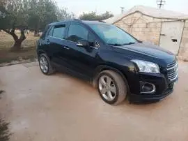 شفر تركس 2016, RF10053919