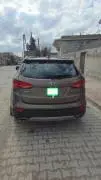 دي ام 2014, حلب, RF49889984
