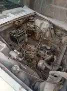 داسيا موديل 1996, RF19811204