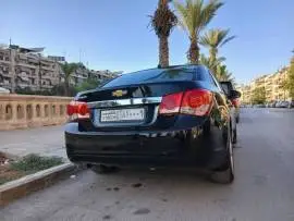 شفر كروز 2010