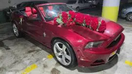 فورد موستينغ 2014, دمشق, RF27099707