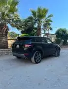 رانج روفر أيفوك 2014, RF16352214